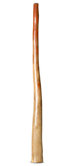 Jesse Lethbridge Didgeridoo (JL268)